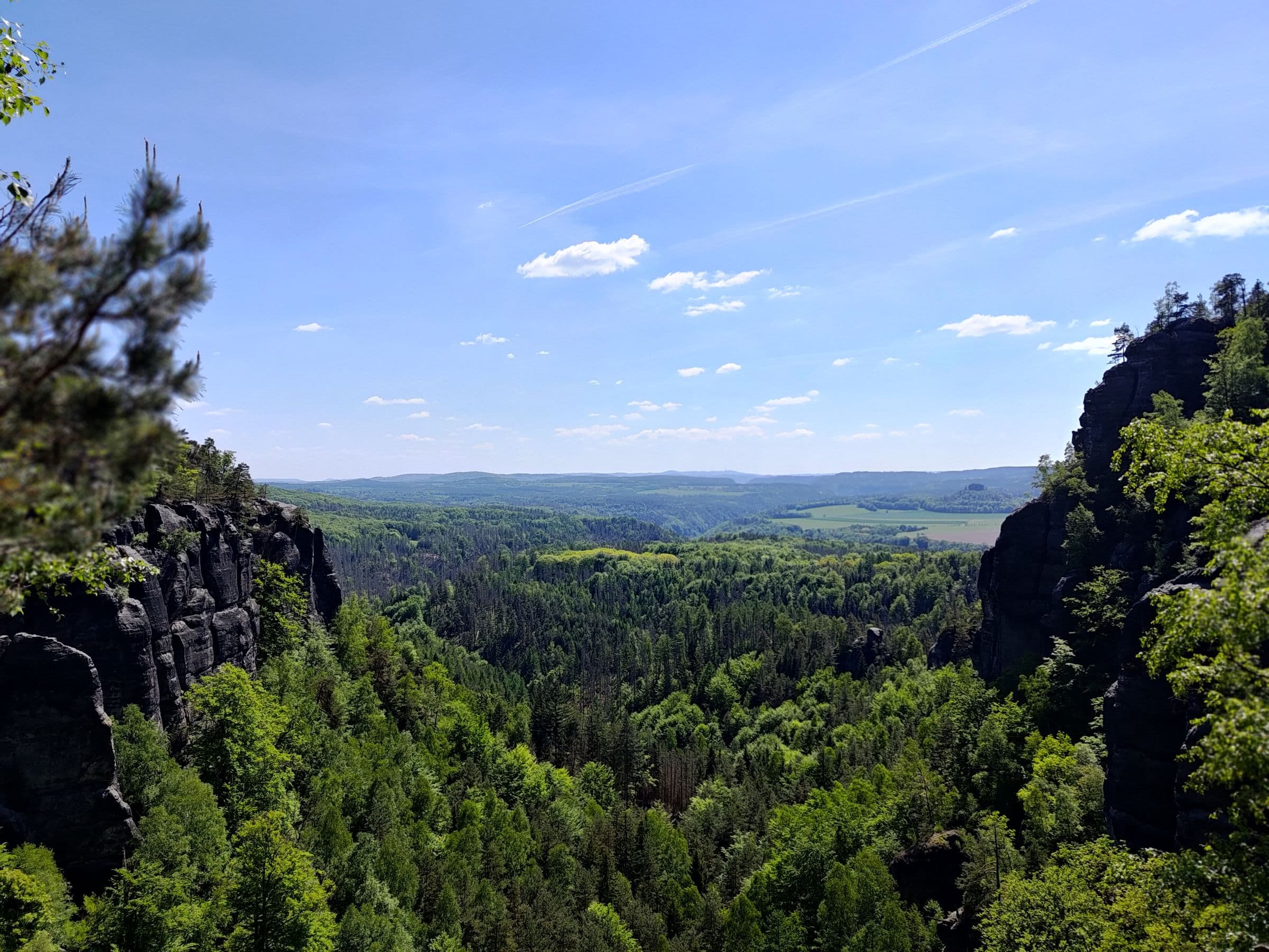 Blick aus einer Felsschlucht im Elbsandsteingebirge über bewaldete Täler
